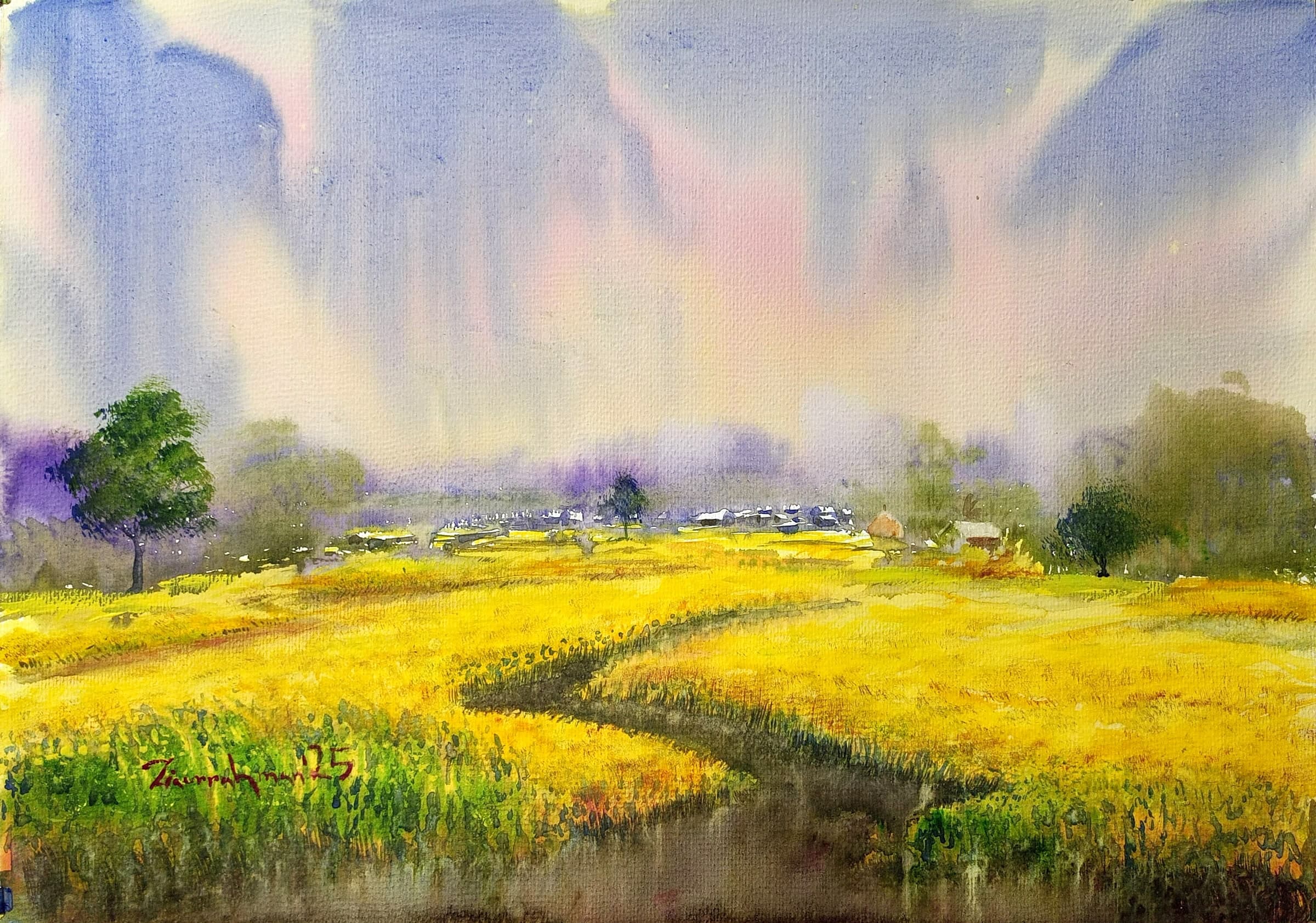Mustard Field, Monsoon